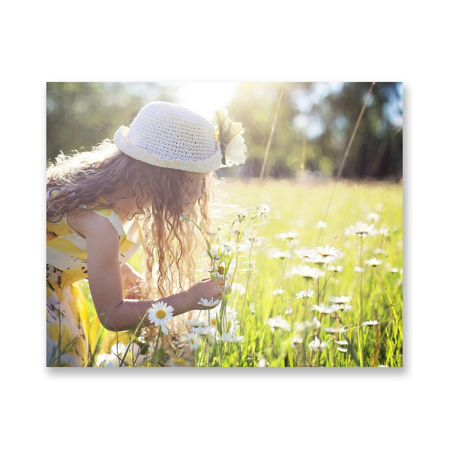 Leinwand - Querformat - Einzelfoto